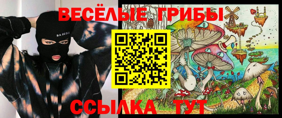 Псилоцибиновые грибы Psilocybine cubensis  Галлюциногенные грибы мухоморы  Богданович  Вход с VPN 